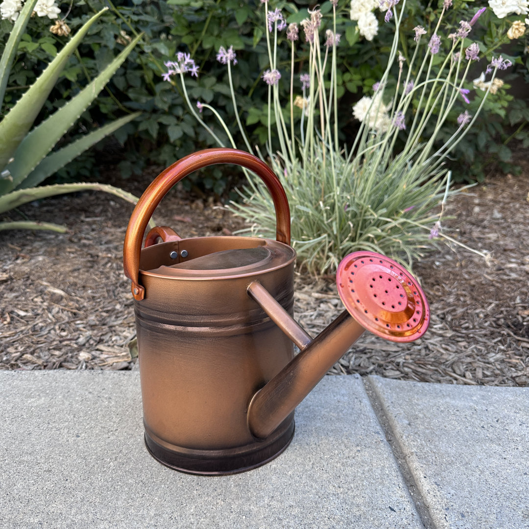 Lexi Home Watering Can Gardening Tools